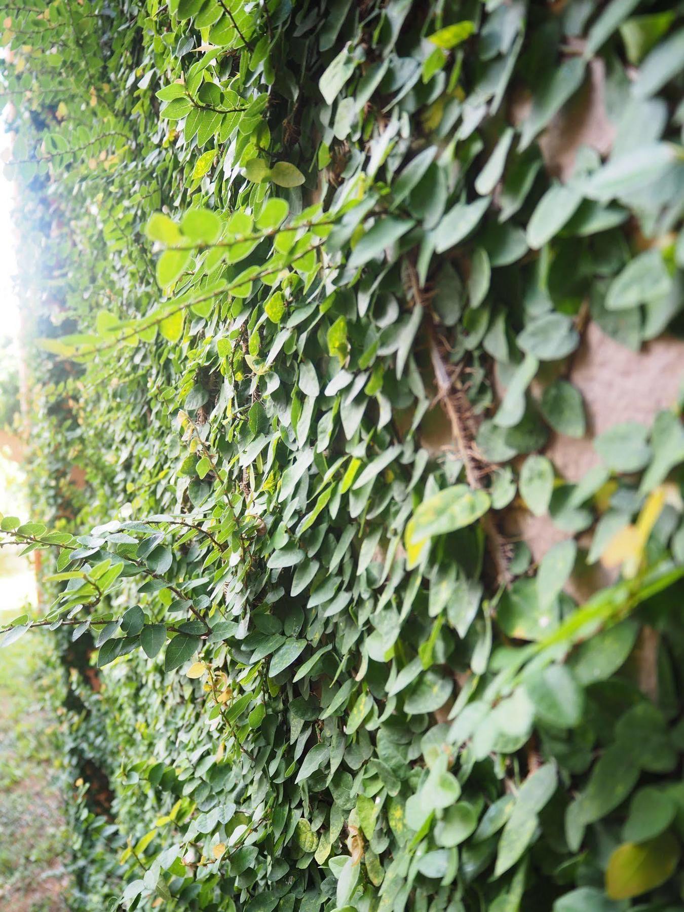 The Spa Garden Παραλία Λαμάι Εξωτερικό φωτογραφία